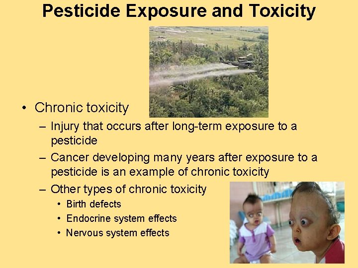 Pesticide Exposure and Toxicity • Chronic toxicity – Injury that occurs after long-term exposure