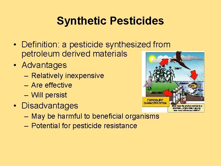 Synthetic Pesticides • Definition: a pesticide synthesized from petroleum derived materials • Advantages –