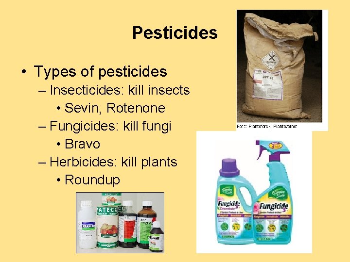 Pesticides • Types of pesticides – Insecticides: kill insects • Sevin, Rotenone – Fungicides: