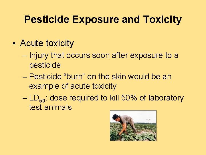 Pesticide Exposure and Toxicity • Acute toxicity – Injury that occurs soon after exposure