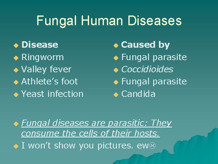 Fungal Human Diseases Disease u Ringworm u Valley fever u Athlete’s foot u Yeast