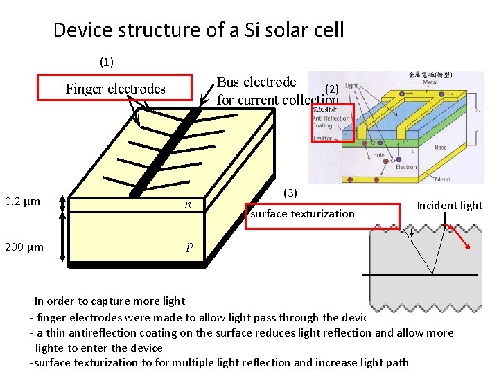 Device structure of a Si solar cell (1) Bus electrode (2) for current collection