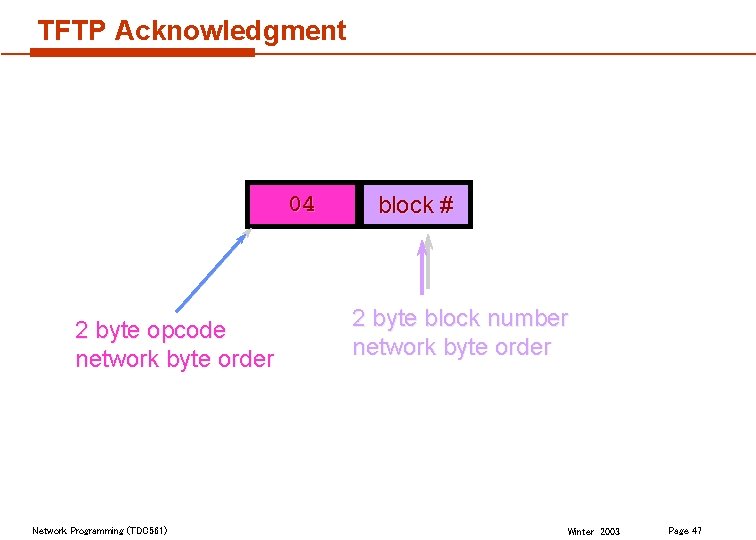 TFTP Acknowledgment 04 2 byte opcode network byte order Network Programming (TDC 561) block