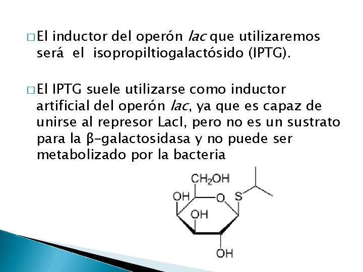 inductor del operón lac que utilizaremos será el isopropiltiogalactósido (IPTG). � El IPTG suele inductor del operón lac que utilizaremos será el isopropiltiogalactósido (IPTG). � El IPTG suele