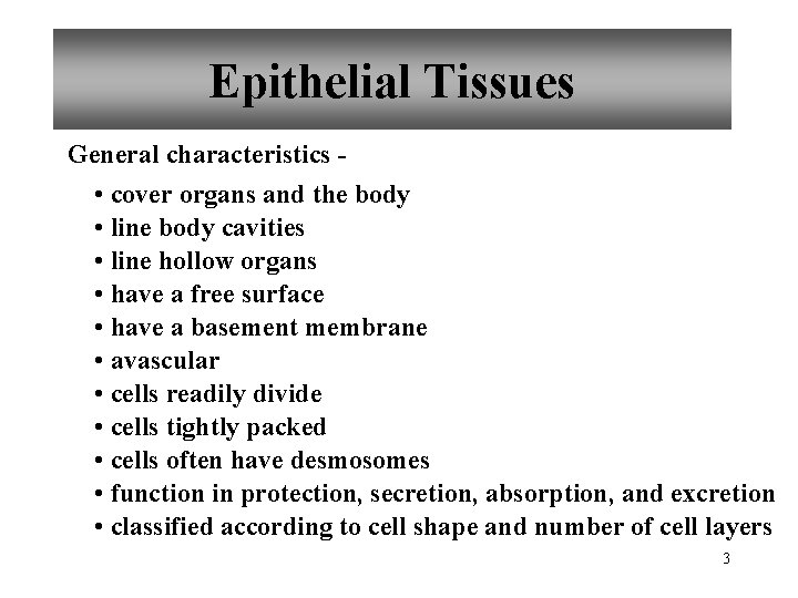 Epithelial Tissues General characteristics - • cover organs and the body • line body