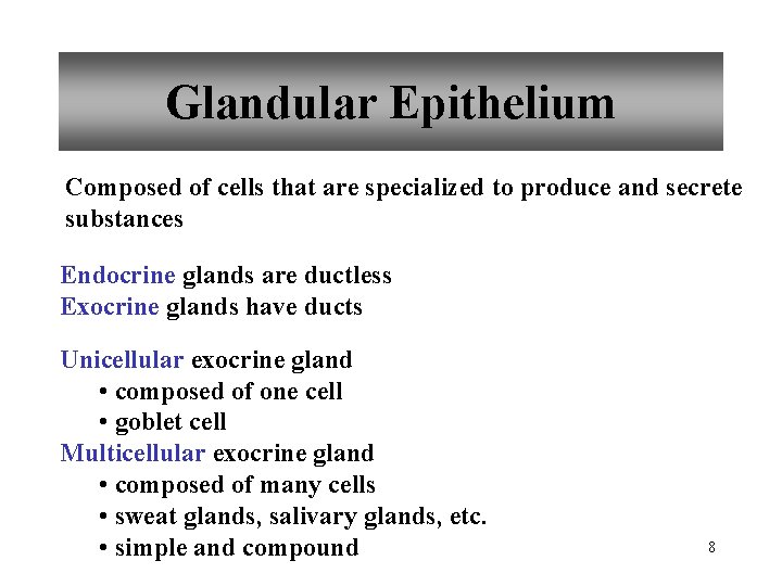 Glandular Epithelium Composed of cells that are specialized to produce and secrete substances Endocrine
