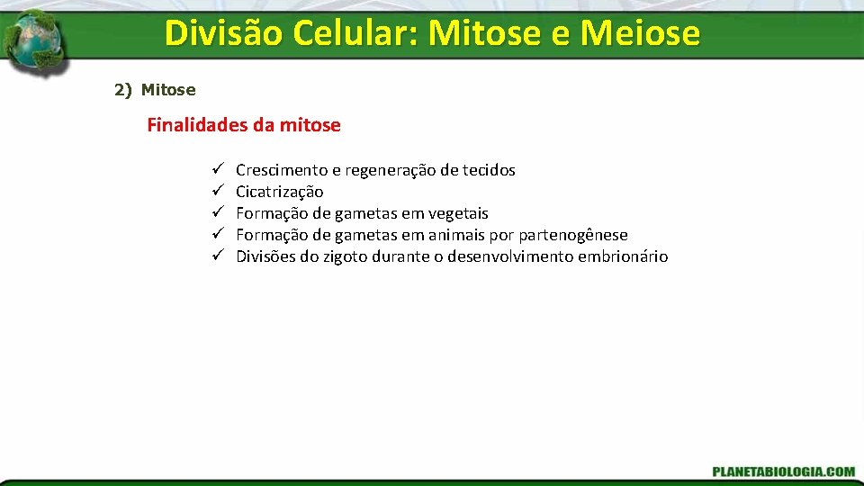 Divisão Celular: Mitose e Meiose 2) Mitose Finalidades da mitose ü ü ü Crescimento