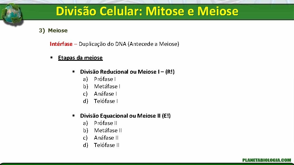Divisão Celular: Mitose e Meiose 3) Meiose Intérfase – Duplicação do DNA (Antecede a