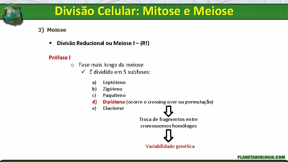 Divisão Celular: Mitose e Meiose 3) Meiose § Divisão Reducional ou Meiose I –