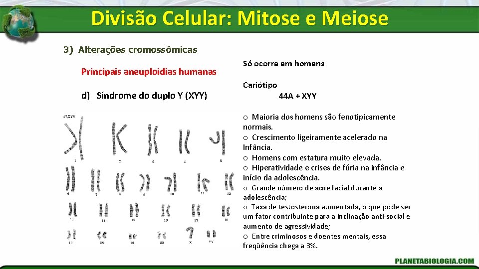 Divisão Celular: Mitose e Meiose 3) Alterações cromossômicas Principais aneuploidias humanas d) Síndrome do