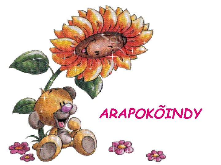 ARAPOKÕINDY 