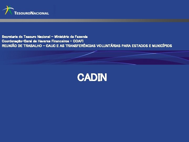 Secretaria do Tesouro Nacional – Ministério da Fazenda Coordenação-Geral de Haveres Financeiros - COAFI