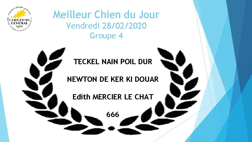 Meilleur Chien du Jour Vendredi 28/02/2020 Groupe 4 TECKEL NAIN POIL DUR NEWTON DE