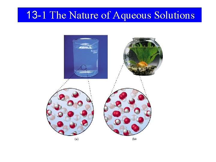 13 -1 The Nature of Aqueous Solutions 