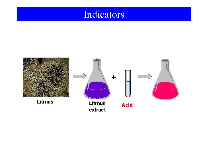 Indicators Litmus extract Acid 