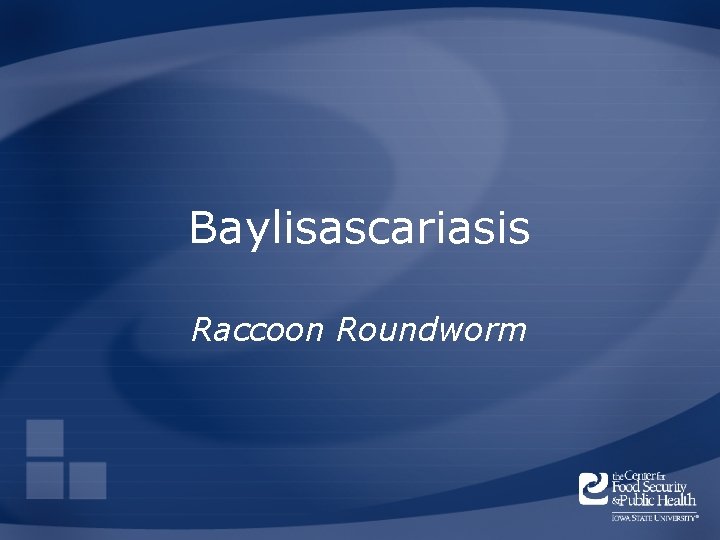 Baylisascariasis Raccoon Roundworm 