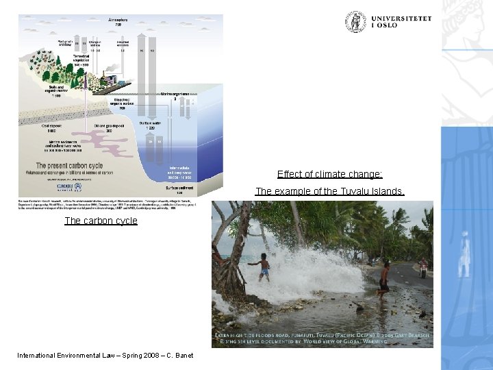 Effect of climate change: The example of the Tuvalu Islands. The carbon cycle International