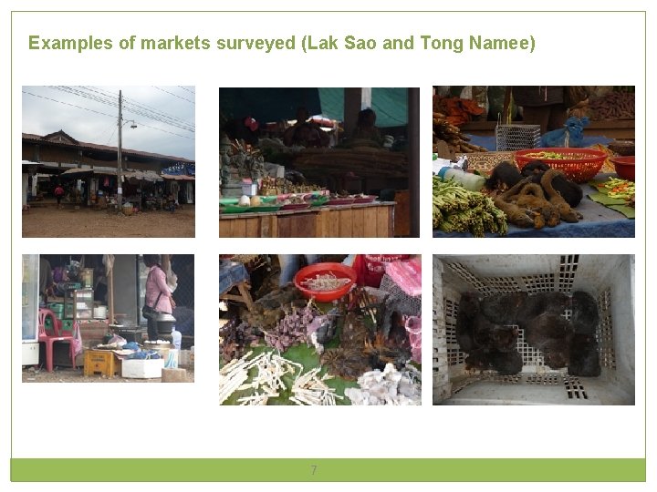Examples of markets surveyed (Lak Sao and Tong Namee) 7 