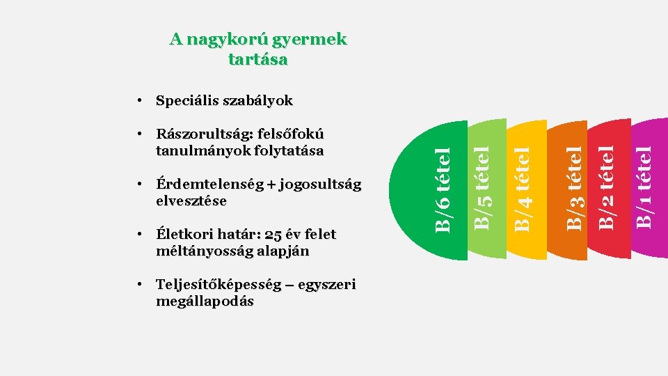 A nagykorú gyermek tartása • Teljesítőképesség – egyszeri megállapodás B/1 tétel B/2 tétel B/3