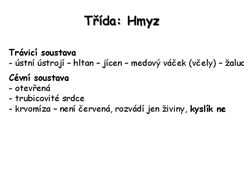 Třída: Hmyz Trávicí soustava - ústní ústrojí – hltan – jícen – medový váček