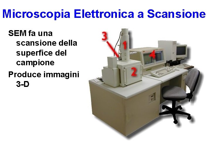 Microscopia Elettronica a Scansione SEM fa una scansione della superfice del campione Produce immagini