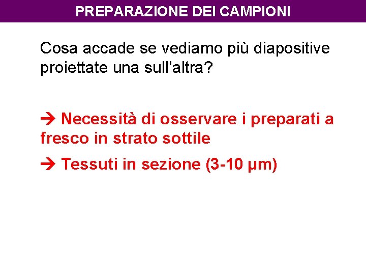 PREPARAZIONE DEI CAMPIONI Cosa accade se vediamo più diapositive proiettate una sull’altra? Necessità di