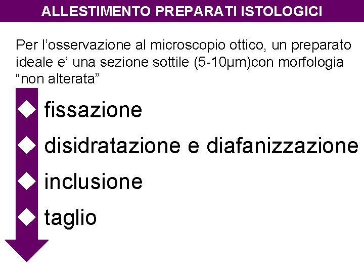 ALLESTIMENTO PREPARATI ISTOLOGICI Per l’osservazione al microscopio ottico, un preparato ideale e’ una sezione