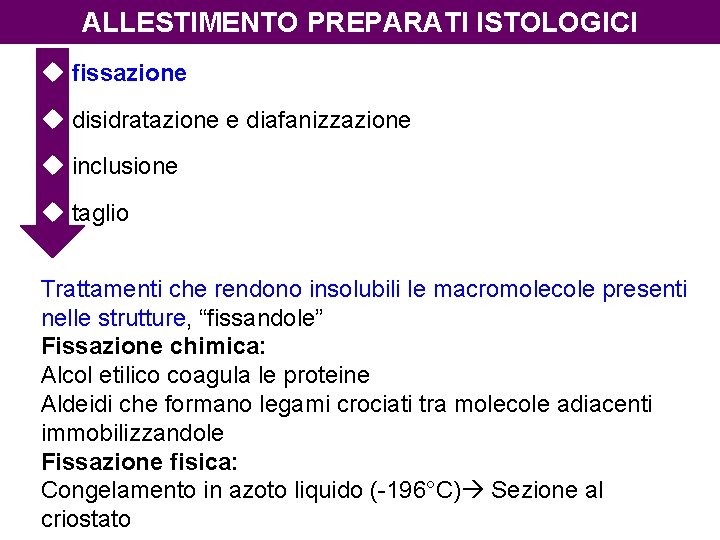 ALLESTIMENTO PREPARATI ISTOLOGICI u fissazione u disidratazione e diafanizzazione u inclusione u taglio Trattamenti