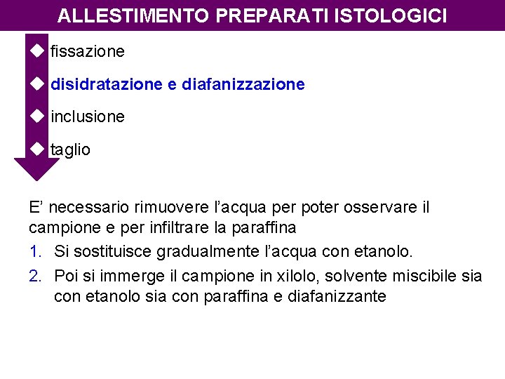 ALLESTIMENTO PREPARATI ISTOLOGICI u fissazione u disidratazione e diafanizzazione u inclusione u taglio E’