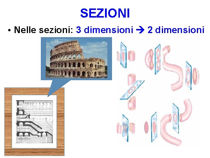 SEZIONI • Nelle sezioni: 3 dimensioni 2 dimensioni 