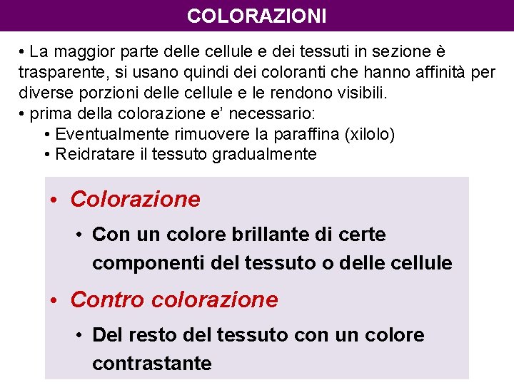 COLORAZIONI • La maggior parte delle cellule e dei tessuti in sezione è trasparente,