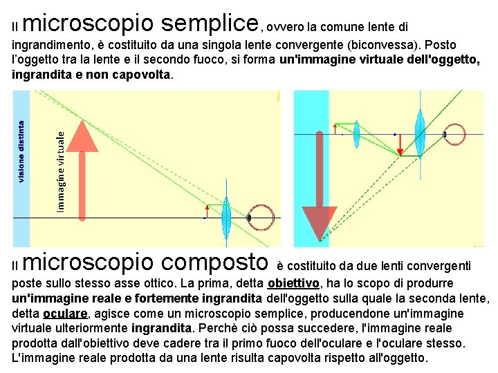 microscopio semplice Immagine virtuale Il , ovvero la comune lente di ingrandimento, è costituito