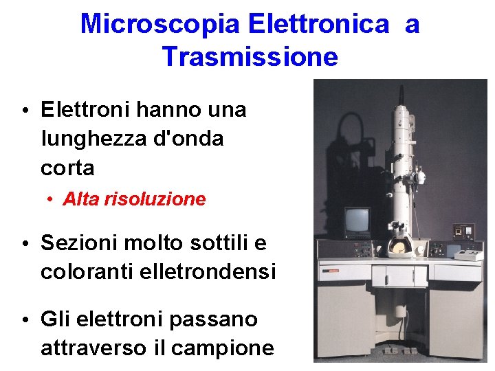 Microscopia Elettronica a Trasmissione • Elettroni hanno una lunghezza d'onda corta • Alta risoluzione