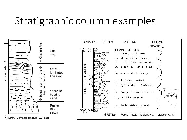 Stratigraphic column examples 