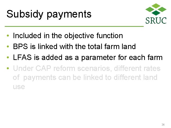 Subsidy payments • • Included in the objective function BPS is linked with the