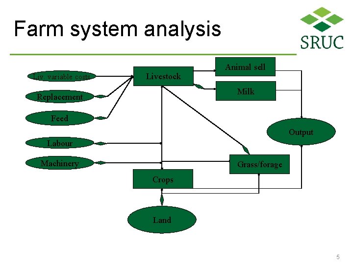 Farm system analysis Liv. variable costs Livestock Animal sell Milk Replacement Feed Output Labour