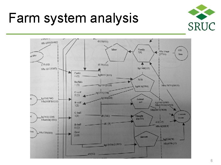 Farm system analysis 6 