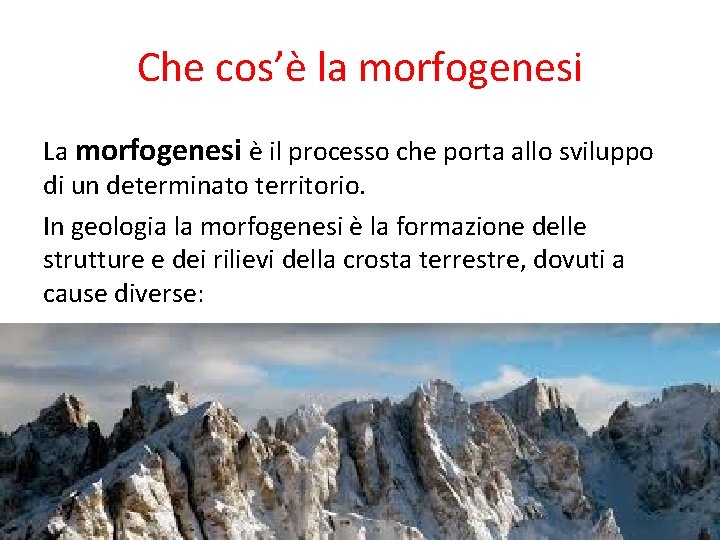 Che cos’è la morfogenesi La morfogenesi è il processo che porta allo sviluppo di