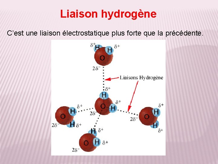 Liaison hydrogène C’est une liaison électrostatique plus forte que la précédente. 