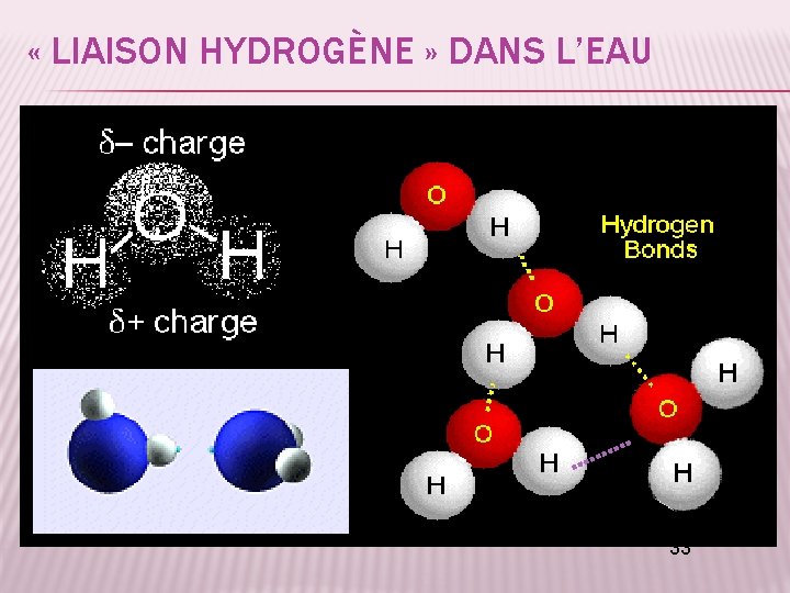  « LIAISON HYDROGÈNE » DANS L’EAU 33 