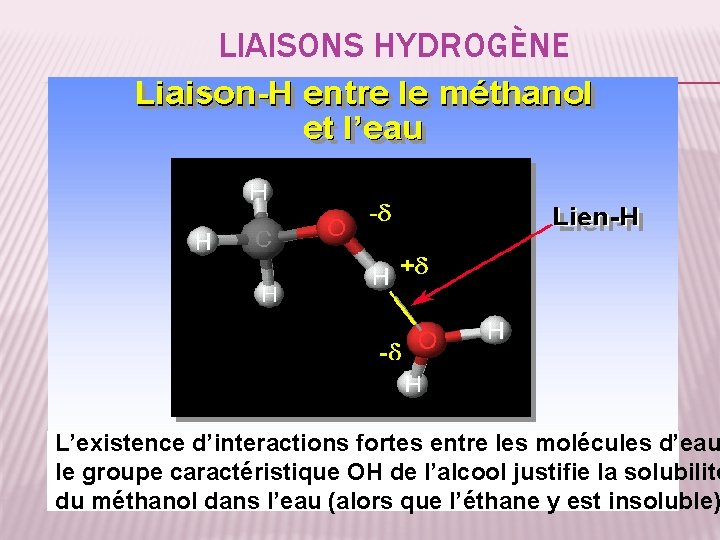 LIAISONS HYDROGÈNE L’existence d’interactions fortes entre les molécules d’eau le groupe caractéristique OH de