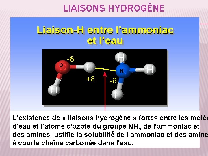 LIAISONS HYDROGÈNE O N L’existence de « liaisons hydrogène » fortes entre les moléc