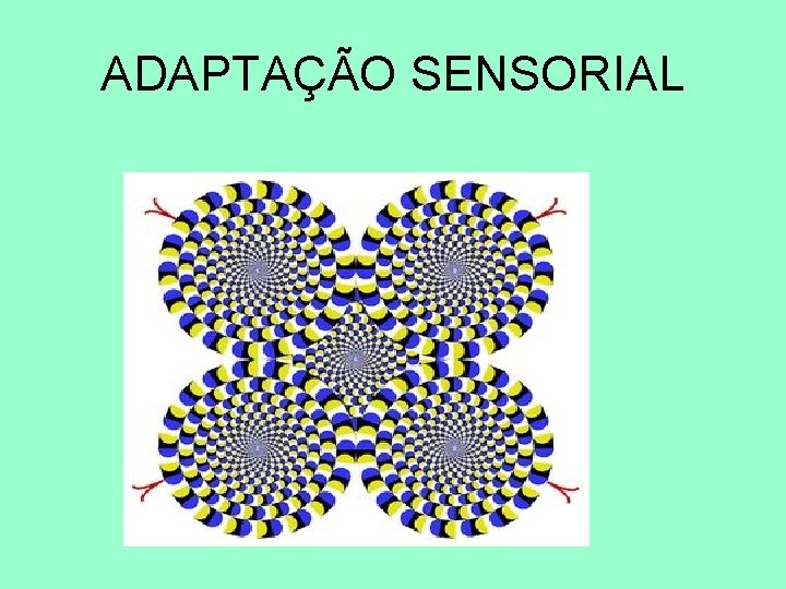 ADAPTAÇÃO SENSORIAL 