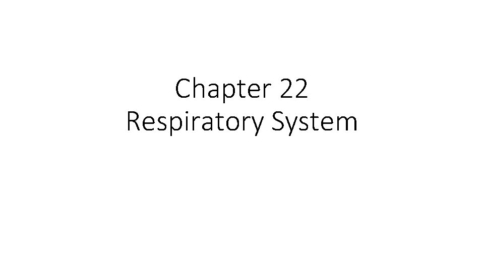 Chapter 22 Respiratory System 