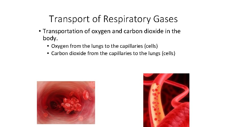 Transport of Respiratory Gases • Transportation of oxygen and carbon dioxide in the body.