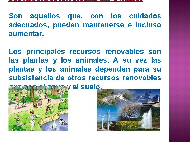 LOS RECURSOS NATURALES RENOVABLES Son aquellos que, con los cuidados adecuados, pueden mantenerse e