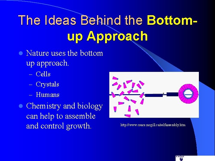 The Ideas Behind the Bottomup Approach l Nature uses the bottom up approach. –