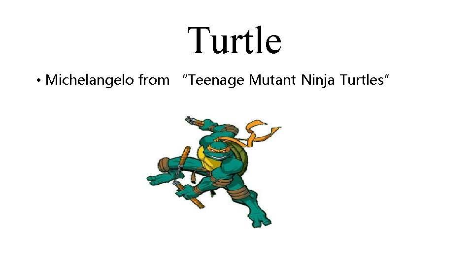 Turtle • Michelangelo from “Teenage Mutant Ninja Turtles” 