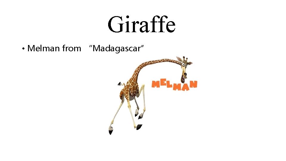 Giraffe • Melman from “Madagascar” 