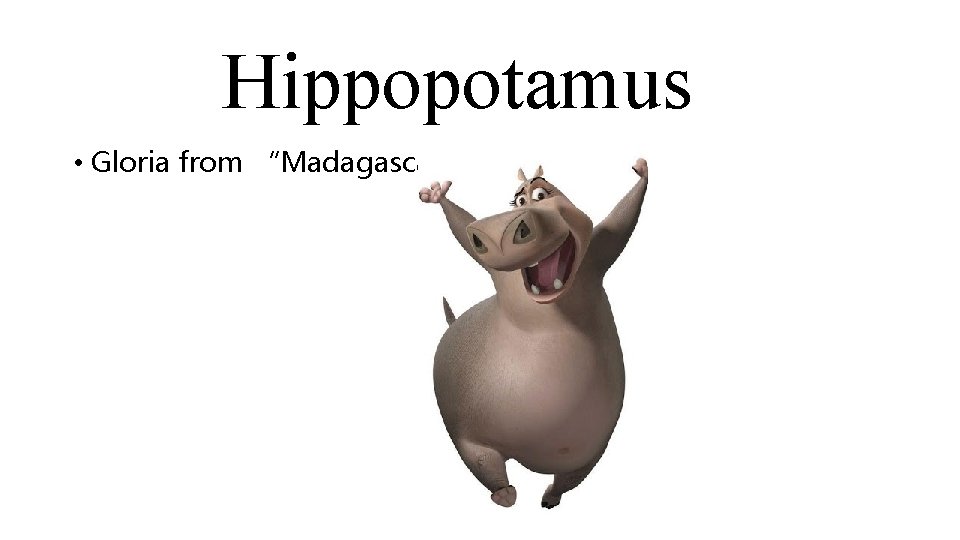 Hippopotamus • Gloria from “Madagascar” 